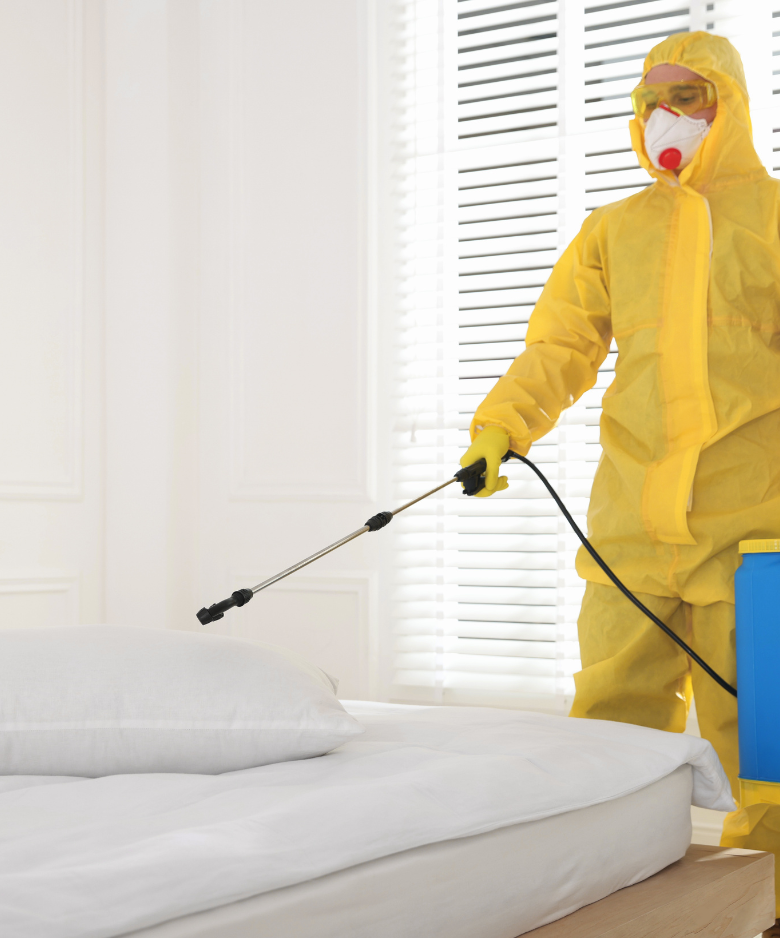 Professional Pest Control Team in Glenunga